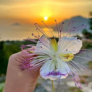 Appartamento Casa Zoe, Città di Lipari